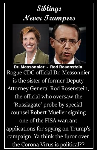 2-27-20-never-trumpers-rosenstein-and-cdc-sister_orig.png
